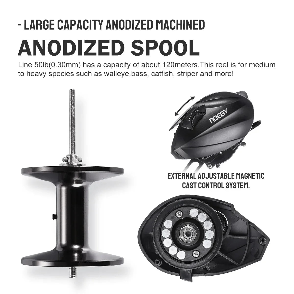 Pike Baitcasting Fishing Reel