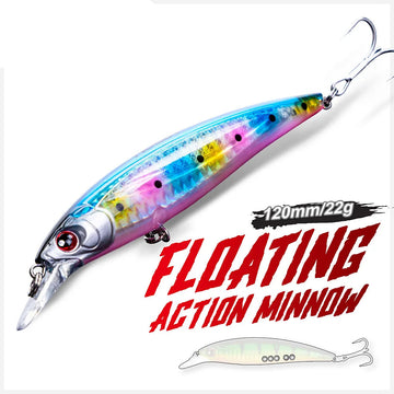 Minnow Fishing Lures