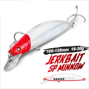 Artificial Hard Bait for Bass and Pike Fishing