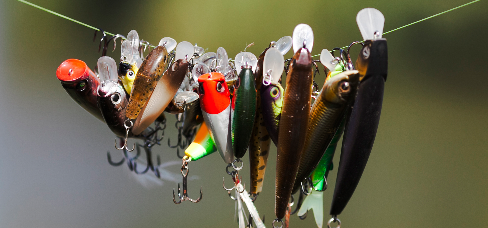 slider image slider_item_Pi6cw4