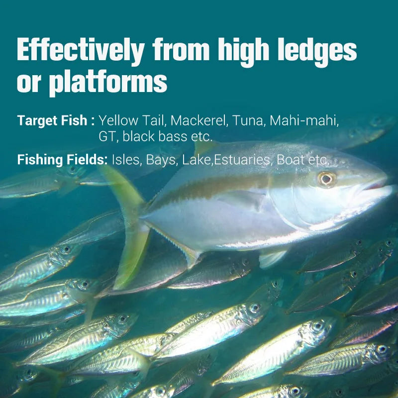 Minnow Lure 170mm 56g-195mm 84g Jerking Bait for Tuna Fishing